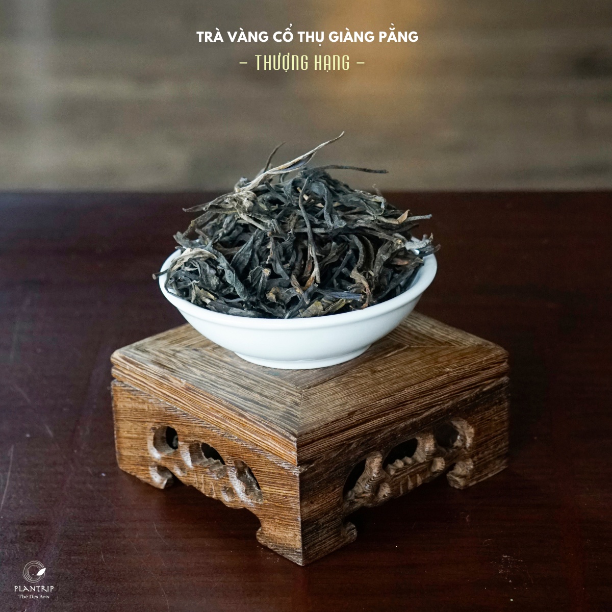 Hình dáng lá trà khô của Trà Vàng Cổ Thụ Giàng Pằng Thượng Hạng tại Plantrip Thé Des Arts.