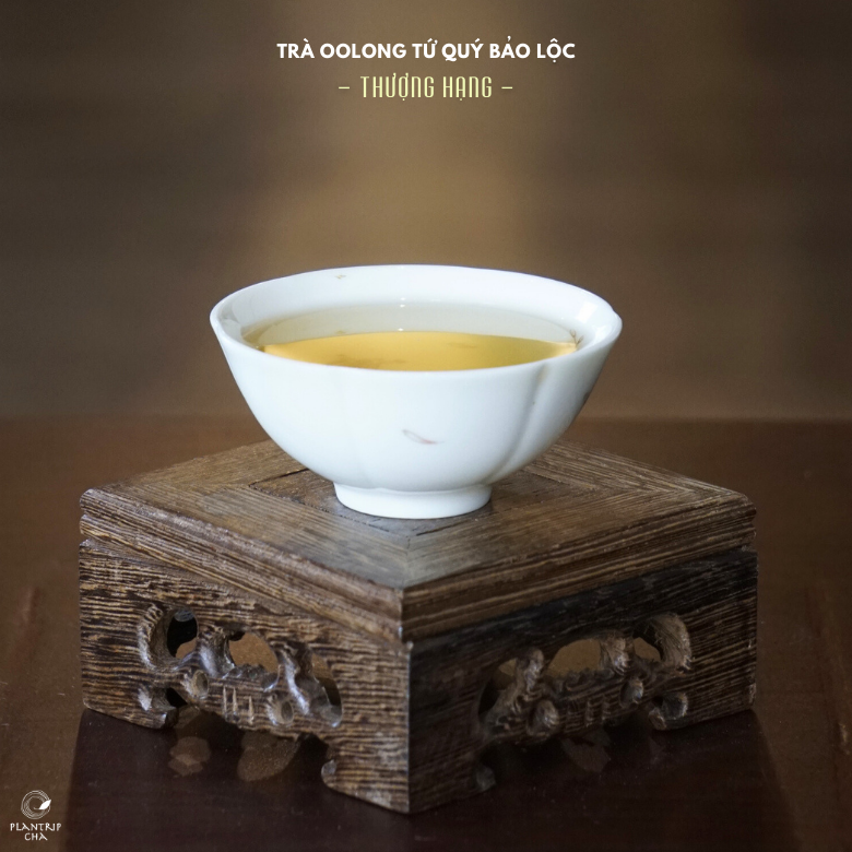 Trà Oolong Tứ Quý Bảo Lộc Thượng Hạng với hương hoa mộc lan xen lẫn hương mật ong ngọt ngào.