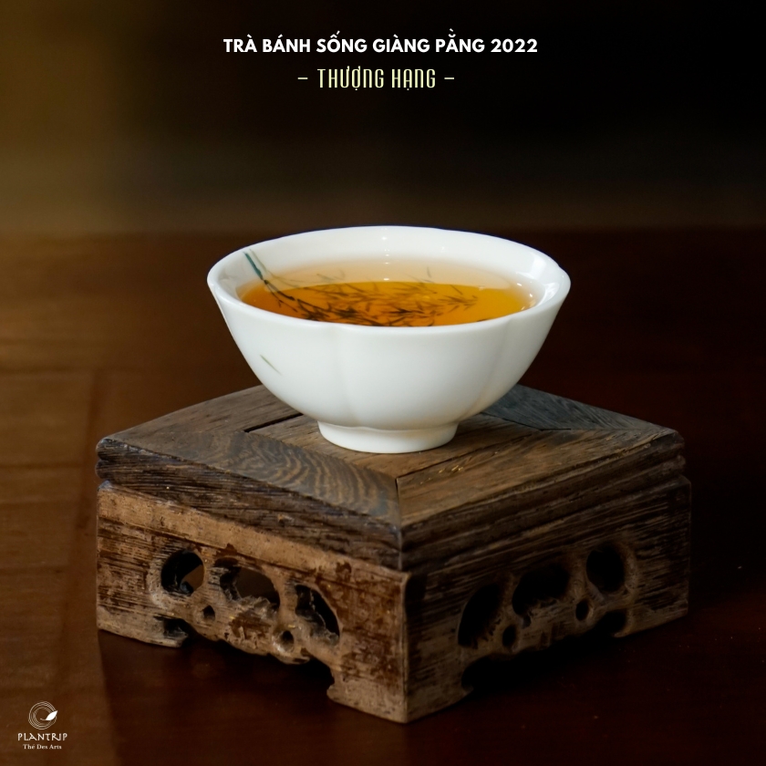 Trà Bánh Sống Giàng Pằng 2022 Thượng Hạng có màu sắc rất thanh trong.