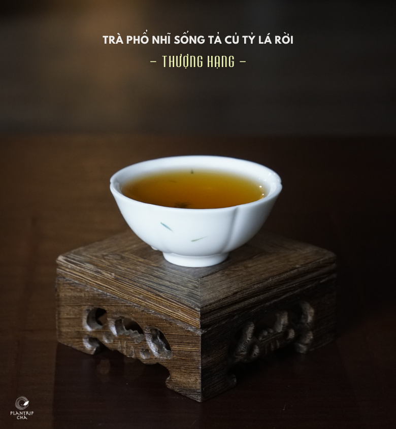 Trà Phổ Nhĩ Sống Tả Củ Tỷ Lá Rời Thượng Hạng - hương trà thơm đượm mùi nắng.