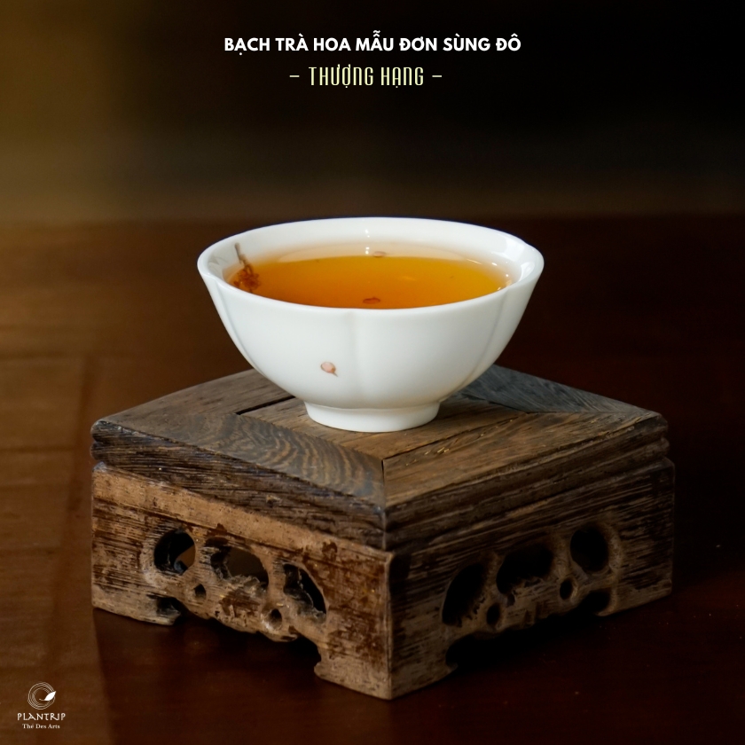 Màu sắc nước đặc trưng của Trà Hoa Mẫu Đơn Sùng Đô Thượng Hạng.