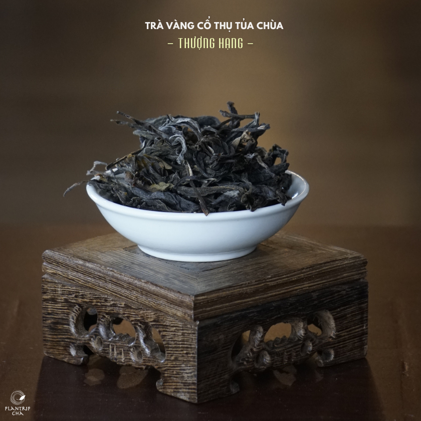 Hình dáng lá trà khô của Trà Vàng Cổ Thụ Tủa Chùa Thượng Hạng.