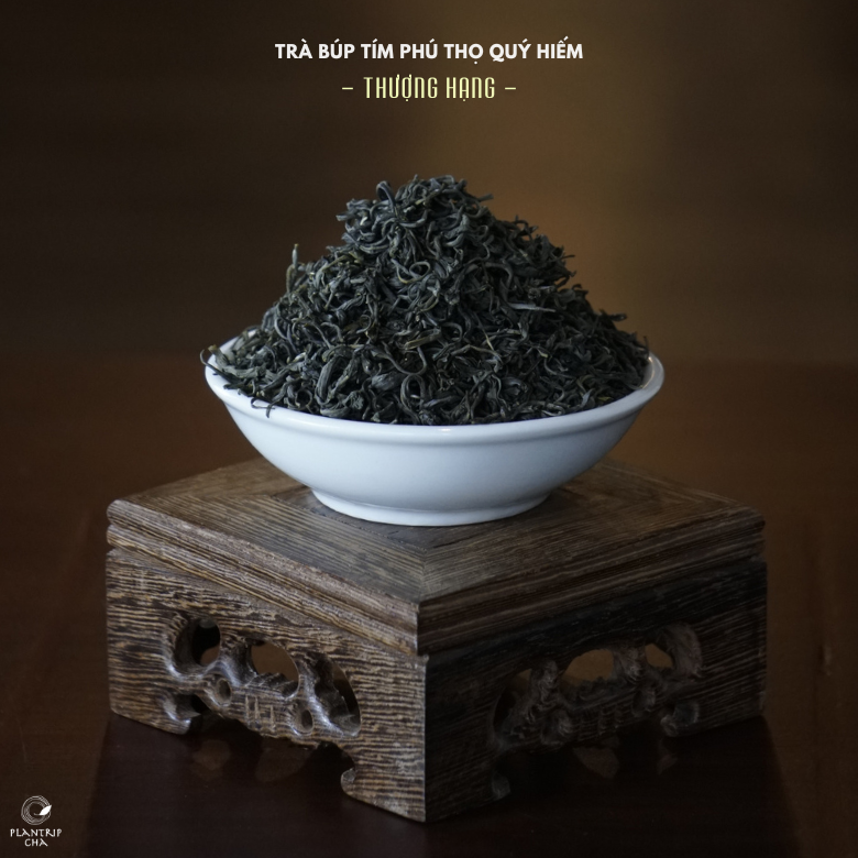 Hình dáng trà khô của Trà Búp Tím Phú Thọ Quý Hiếm Thượng Hạng Plantrip Cha