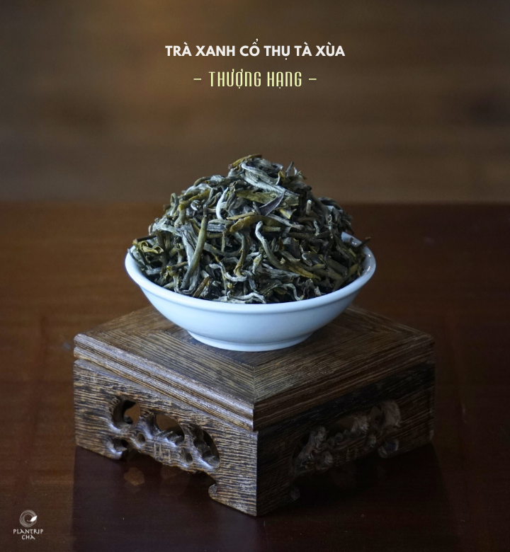 Hình dáng lá trà của Trà Xanh Cổ Thụ Tà Xùa Thượng Hạng.