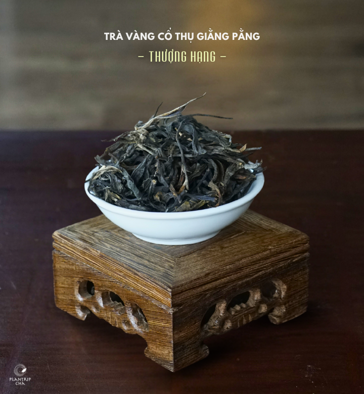 Hình dáng lá trà khô của Trà Vàng Cổ Thụ Giằng Pằng Thượng Hạng.