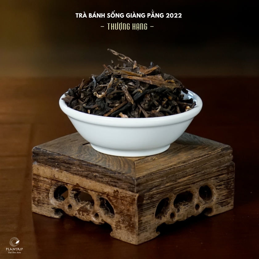 Hình dáng lá trà của Trà Bánh Sống Giàng Pằng 2022 Thượng Hạng.
