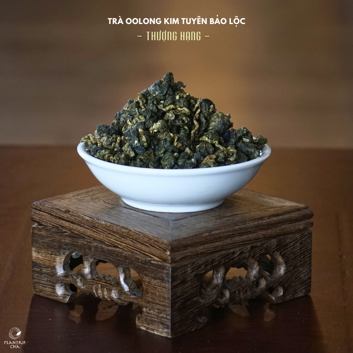 Hình dáng lá trà khô cuộn tròn của trà Oolong Kim Tuyên Thượng Hạng - Plantrip Cha.