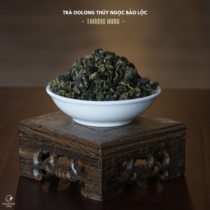 Oolong Thuý Ngọc được ví như một loại trà thanh thuần như nắng mai - Plantrip Cha.