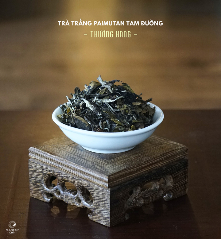 Hình dáng lá trà khô của Trà Vàng Cổ Thụ Giằng Pằng Thượng Hạng