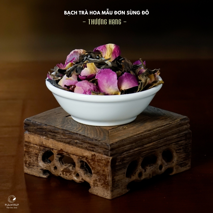 Bạch Trà Hoa Mẫu Đơn Sùng Đô - Plantrip là sự kết hợp giữa bạch trà Paimutan và hoa mẫu đơn.