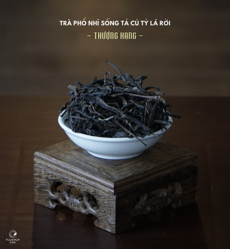 Trà Phổ Nhĩ Sống Tả Củ Tỷ Lá Rời Thượng Hạng gây ấn tượng với số lần nước thuộc hàng bậc nhất trong làng trà.