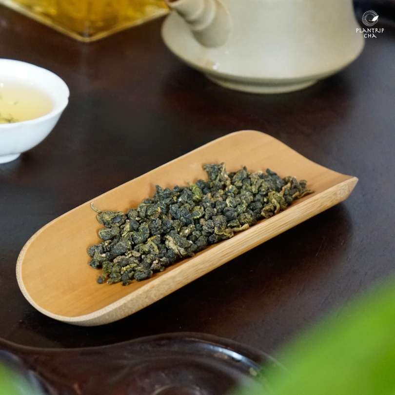 Oolong Kim Tuyên được vo thành viên chắc, nặng có màu xanh hơi nâu đen và có “đuôi rồng” nhỏ.