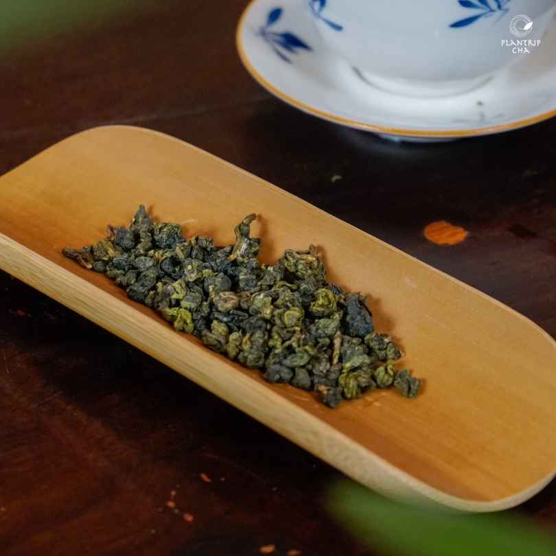 Dùng Trà Oolong Trắng Thuần Plantrip Cha mỗi ngày mang lại nhiều công dụng hữu ích cho sức khỏe.