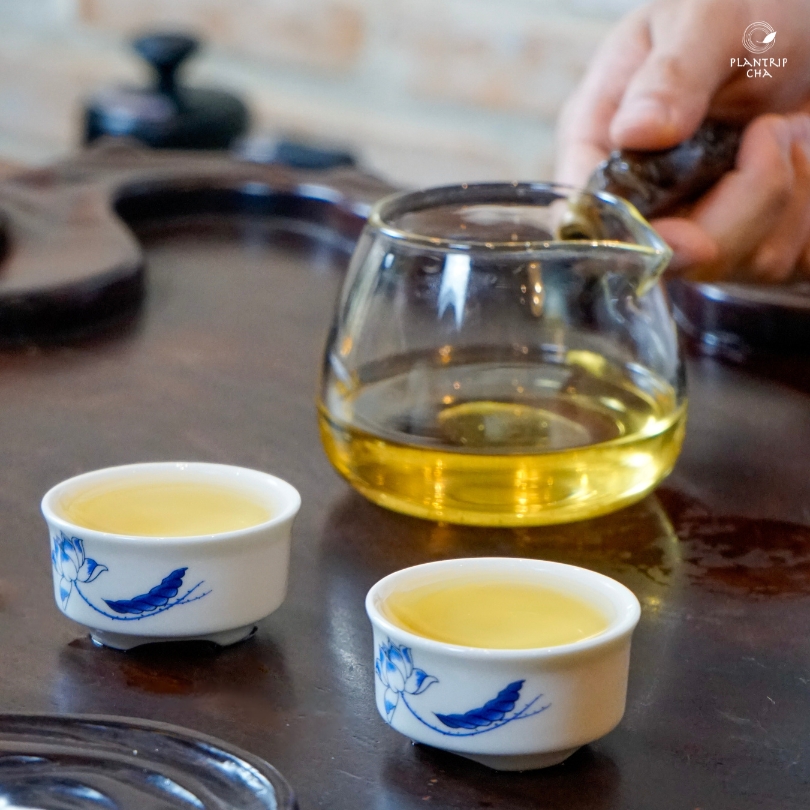 Thưởng thức Trà Oolong Tứ Quý - Plantrip Cha mỗi ngày mang lại rất nhiều công dụng hữu ích cho sức khỏe.