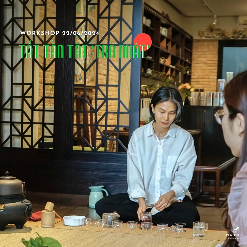 Tea Specialist Kim Thanh sẽ trực tiếp chia sẻ về trà Nhật trong buổi workshop.