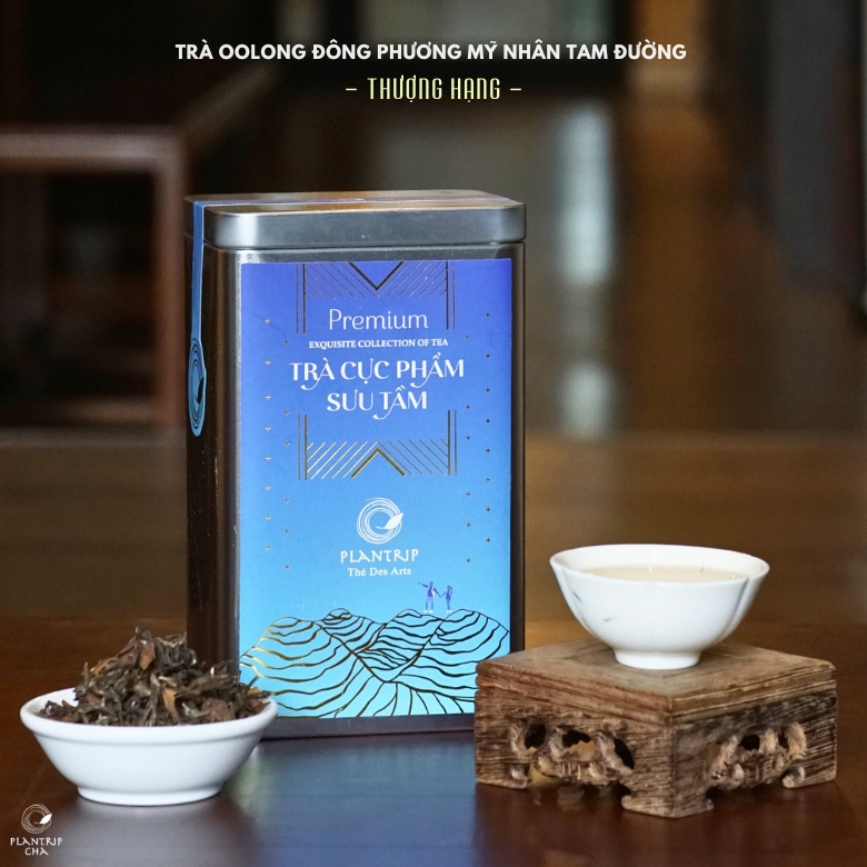 Trà Oolong Đông Phương Mỹ Nhân Tam Đường Thượng Hạng - Plantrip.