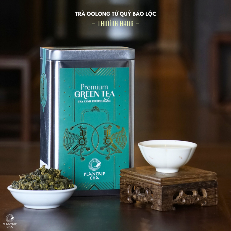 Trà Oolong Tứ Quý Bảo Lộc Thượng Hạng - Plantrip Cha.