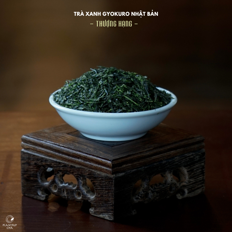 Dáng lá trà hình kim, ngả màu xanh đậm sang trọng.