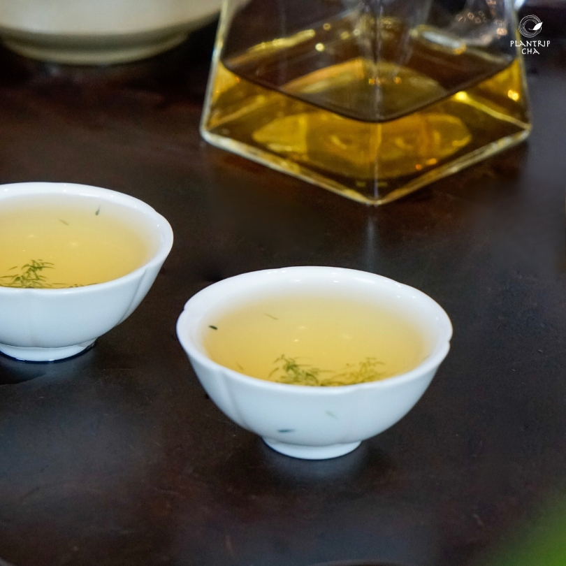 Trà Oolong Kim Tuyên Bảo Lộc Plantrip Cha có thể pha cùng chén khải, ấm bằng sứ, ấm thủy tinh hoặc ấm tử sa.