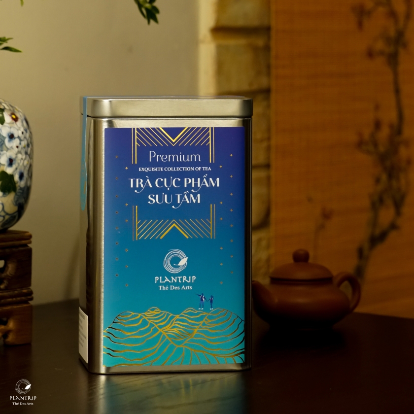 Bạch Trà Hoa Mẫu Đơn Sùng Đô Thượng Hạng của Plantrip rất phù hợp để biếu tặng.