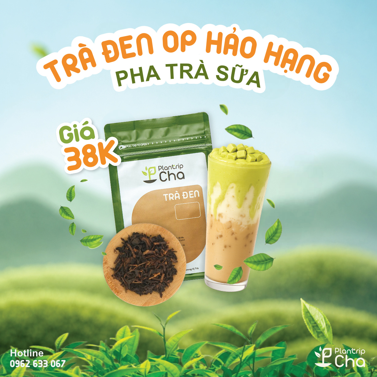 Trà đen OP Hảo Hạng.