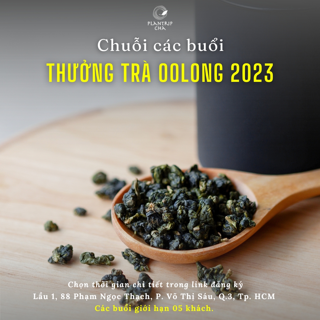 chuỗi các buổi thưởng trà oolong không thu phí 2023