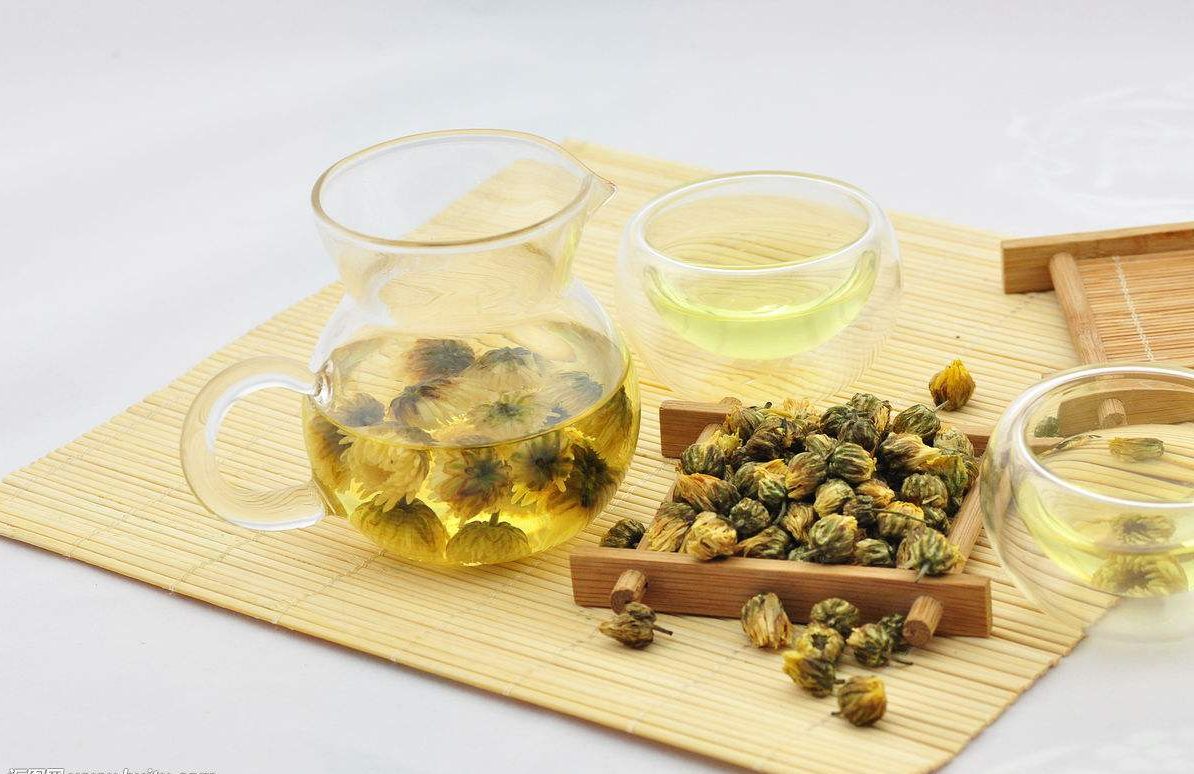 Chamomile cúc tiến vua