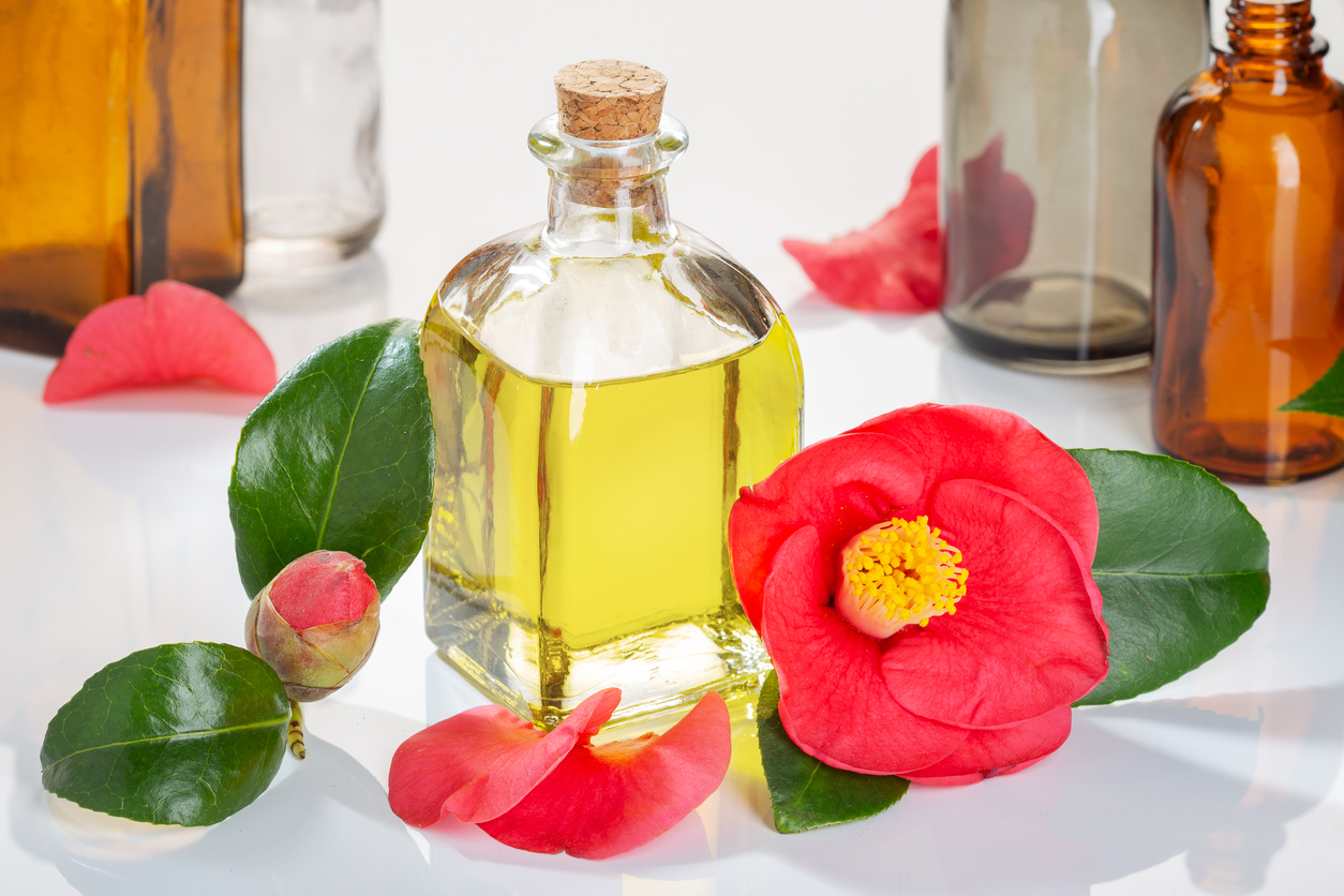 Dầu hoa trà Camellia Japonica là nguyên liệu làm đẹp hiệu quả của người Nhật (Ảnh: sưu tầm)