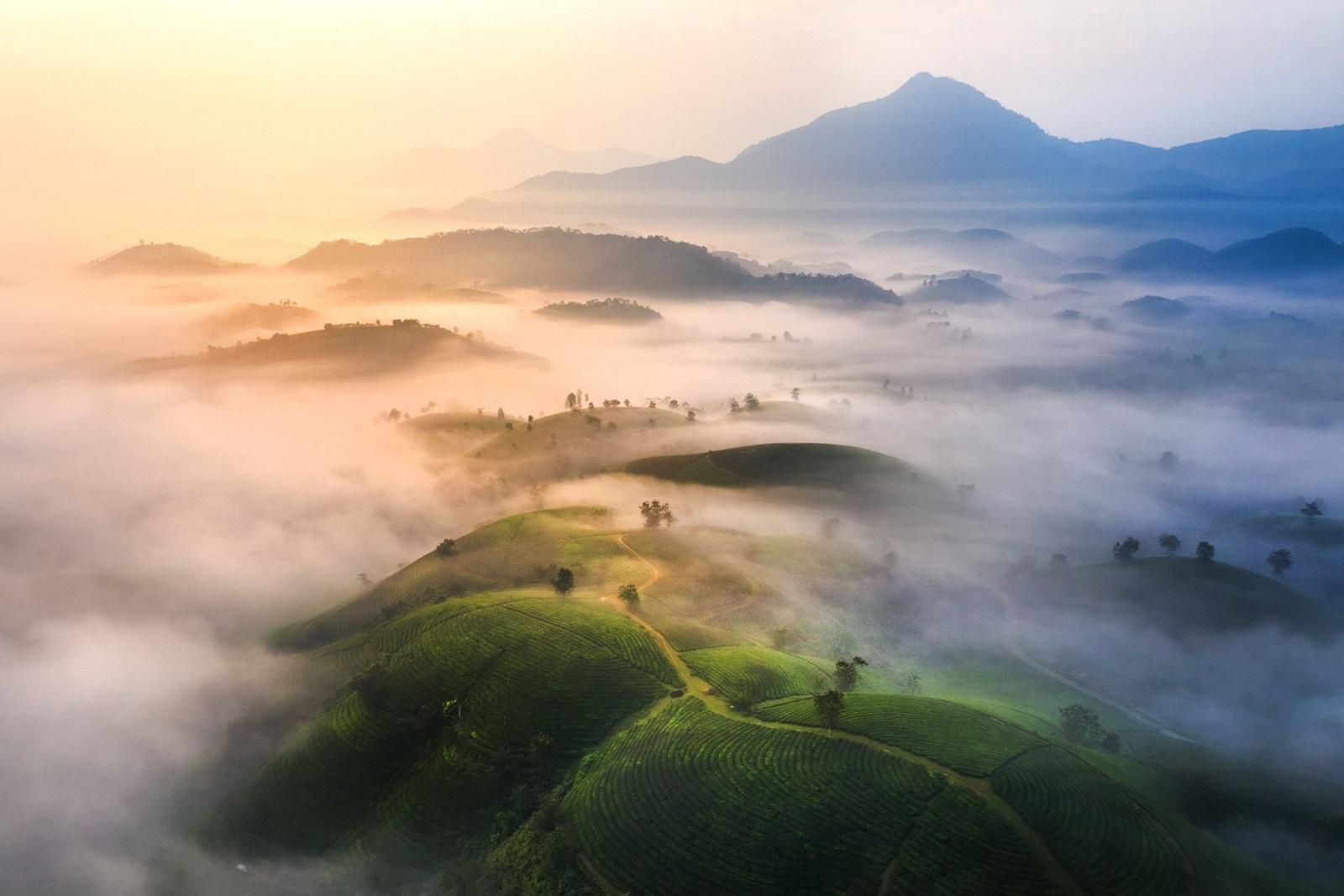 Đồi chè Long Cốc (đồi chè bát úp)