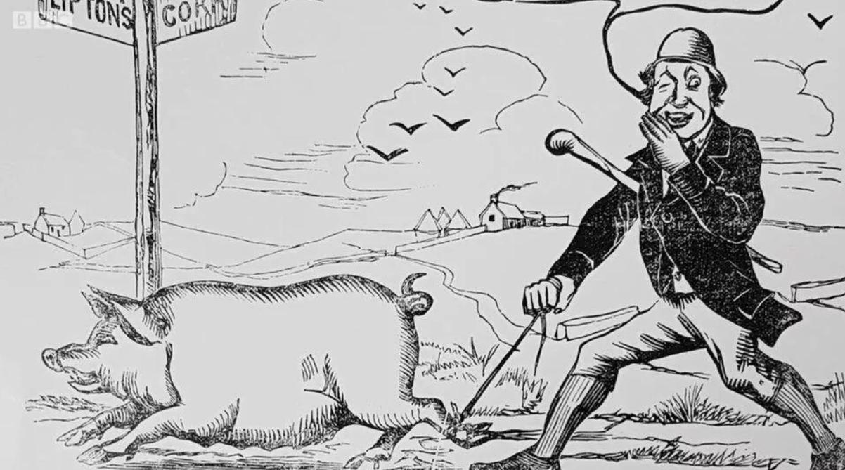 “Lợn diễu hành” - chiến dịch quảng cáo độc đáo và mạo hiểm của thương hiệu Lipton (Ảnh: sưu tầm)