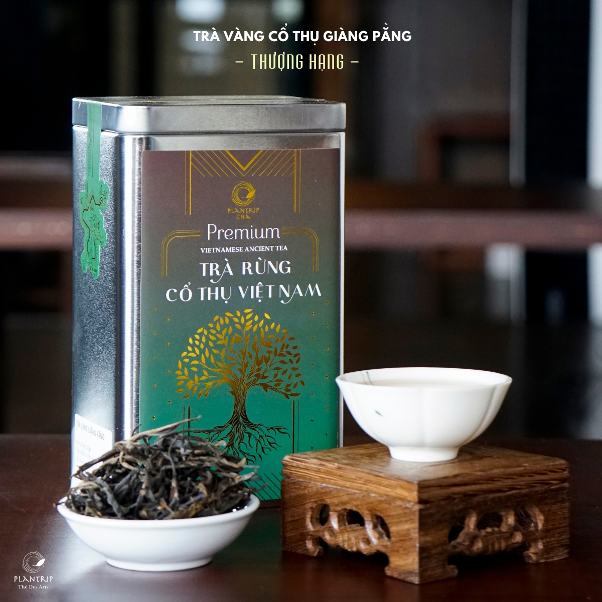 Trà Vàng Cổ Thụ Giàng Pằng Thượng Hạng - Plantrip Thé Des Arts là phẩm trà thưởng thức và biếu tặng tuyệt vời.
