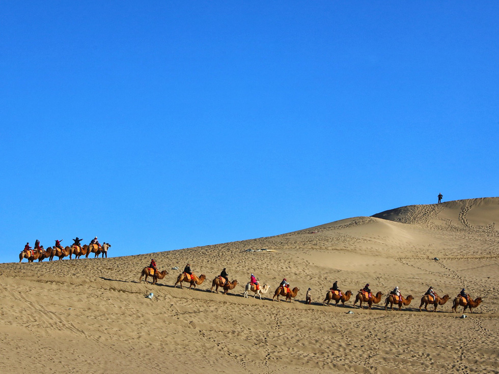 Một góc con đường giao thương bằng lạc đà thời nay - Ảnh: Sưu tầm
