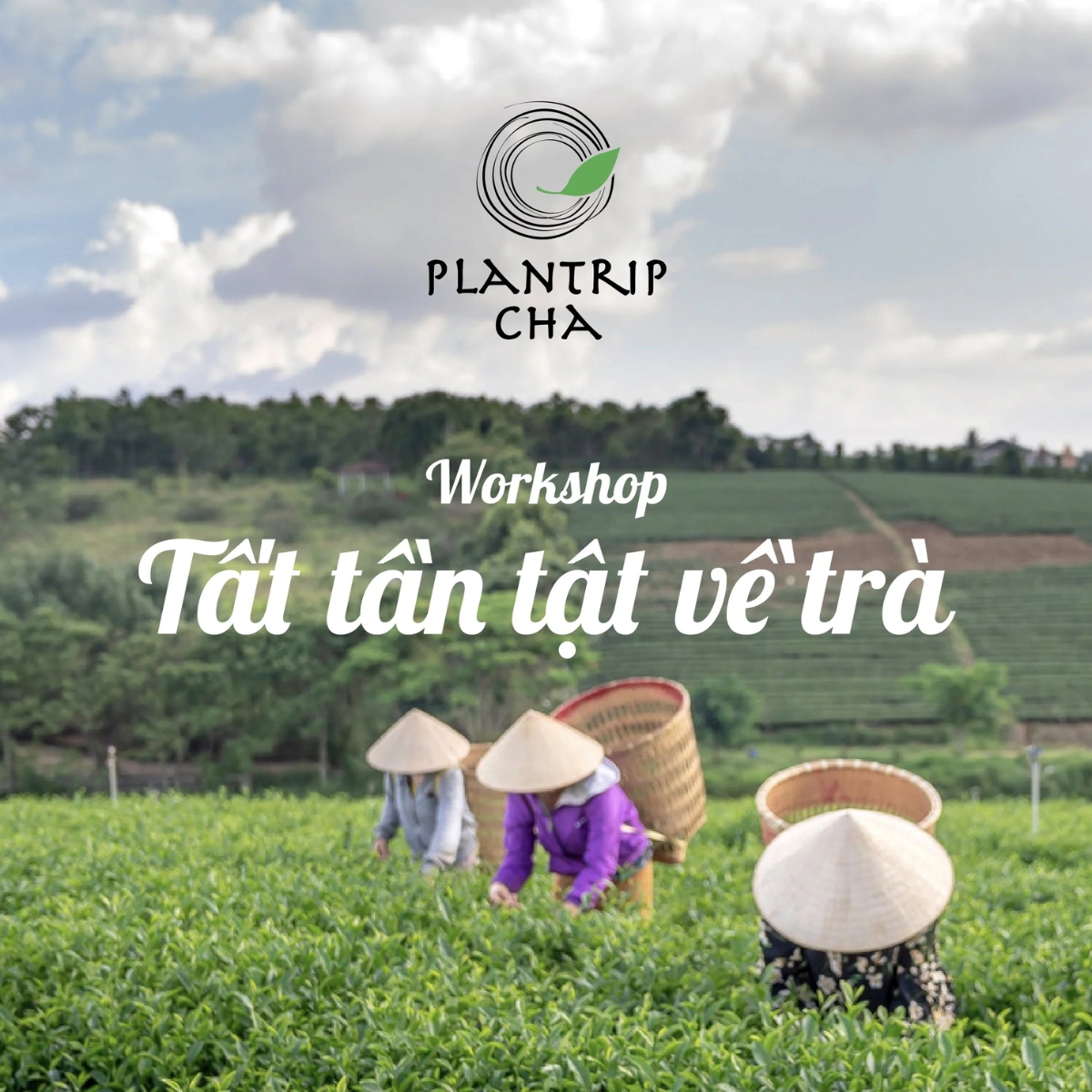 WORKSHOP: TẤT TẦN TẬT VỀ TRÀ 04/03/2023