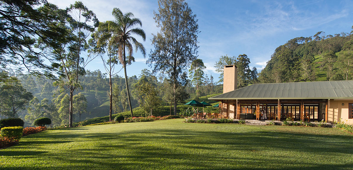 Resort Ceylon Tea Trails được bao quanh bởi đồi trà và mảng xanh thiên nhiên rộng lớn (Ảnh: sưu tầm)