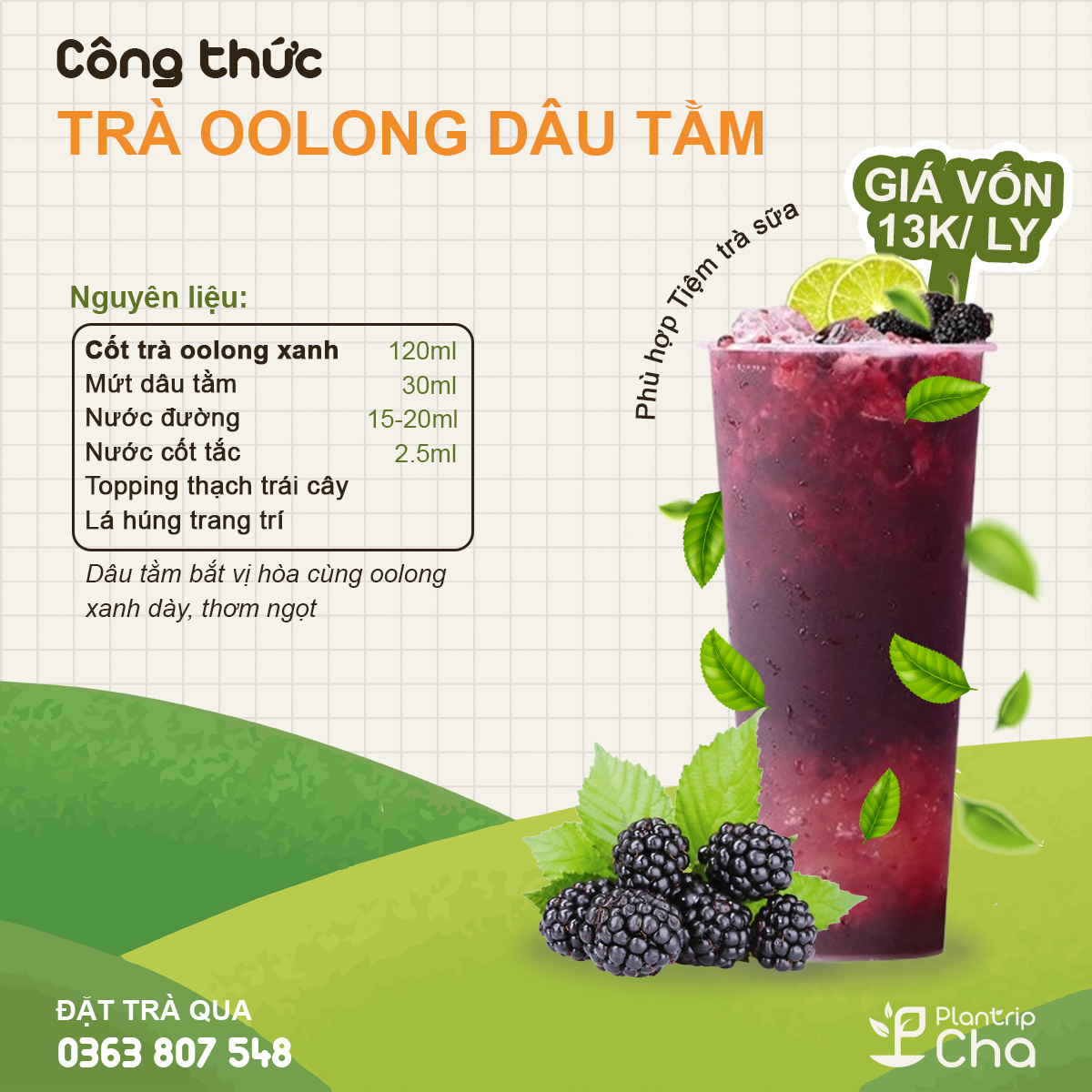 Trà oolong dâu tằm.