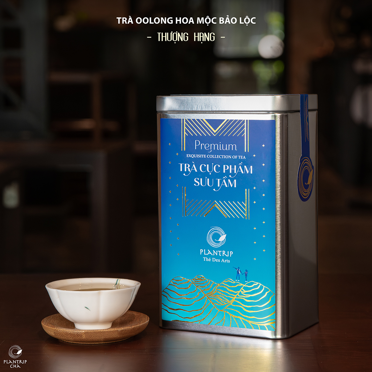 Trà Oolong Hoa Mộc Bảo Lộc Thượng Hạng - Plantrip Cha.