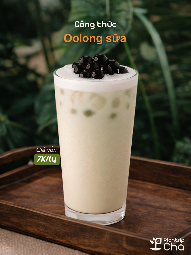 Trà oolong sữa.