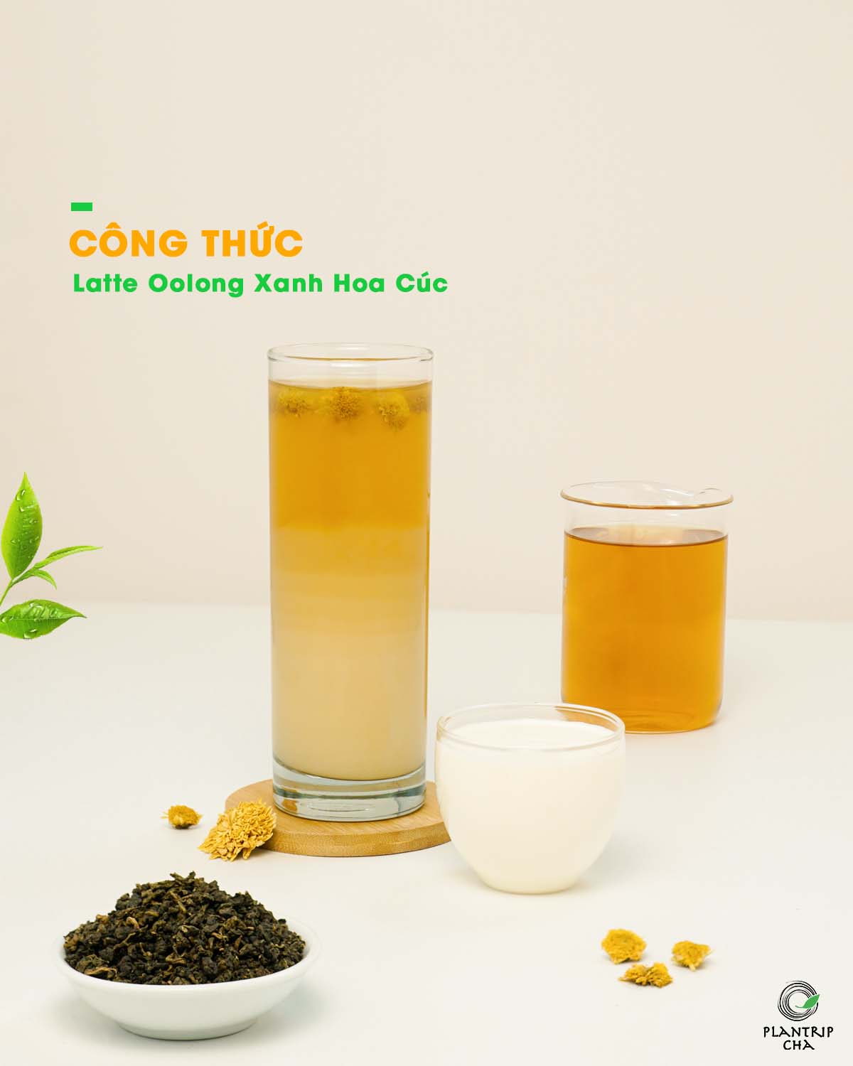 Latte Oolong Hoa Cúc.