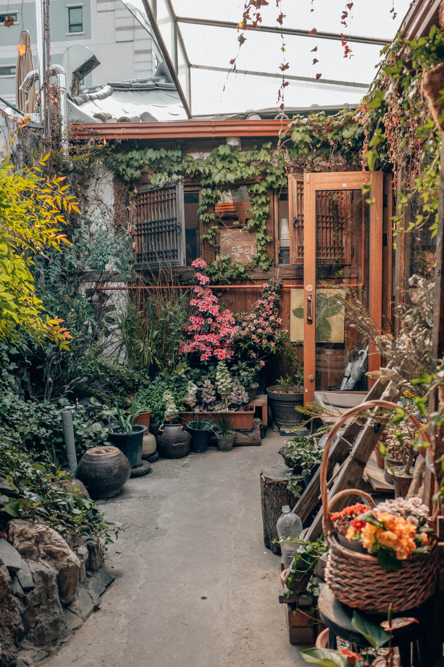 Góc vườn nhỏ xinh của quán trà Tteuran (Ảnh: sưu tầm)