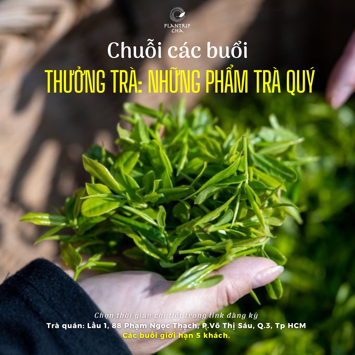 CHUỖI CÁC BUỔI THƯỞNG TRÀ: NHỮNG PHẨM TRÀ QUÝ 2023