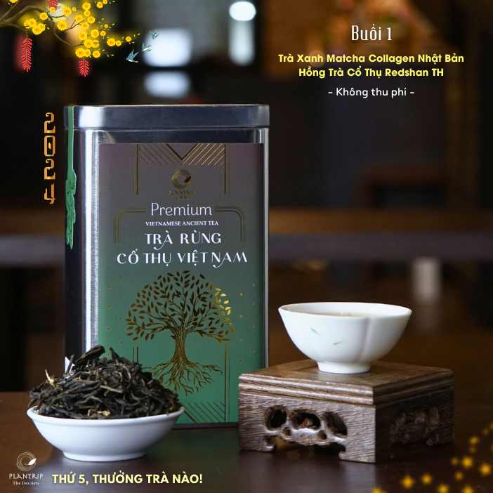 Chương trình thưởng trà tại Hồ Chí Minh dành cho tất cả mọi người.