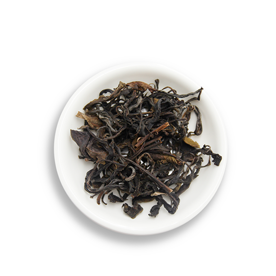 Trà shan tuyết cổ thụ vùng Sùng Đô