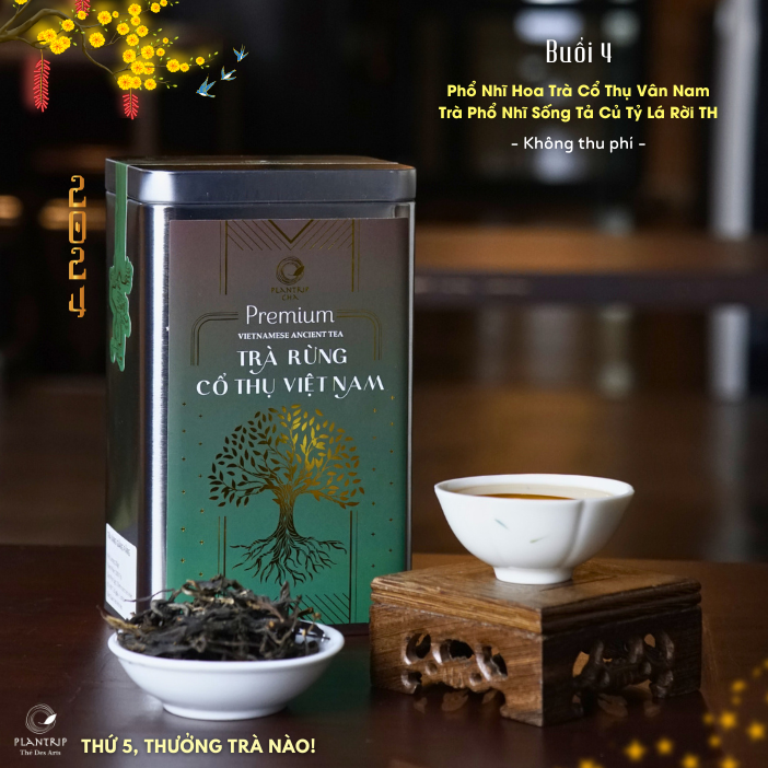 Thưởng Thức Phổ Nhĩ Hoa Trà Cổ Thụ Vân Nam và Trà Phổ Nhĩ Sống Tả Củ Tỷ Lá Rời Thượng Hạng.