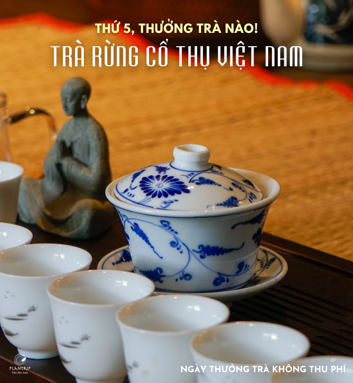 Chương trình "Thứ 5, thưởng trà nào!" do Plantrip Cha tổ chức hằng tuần