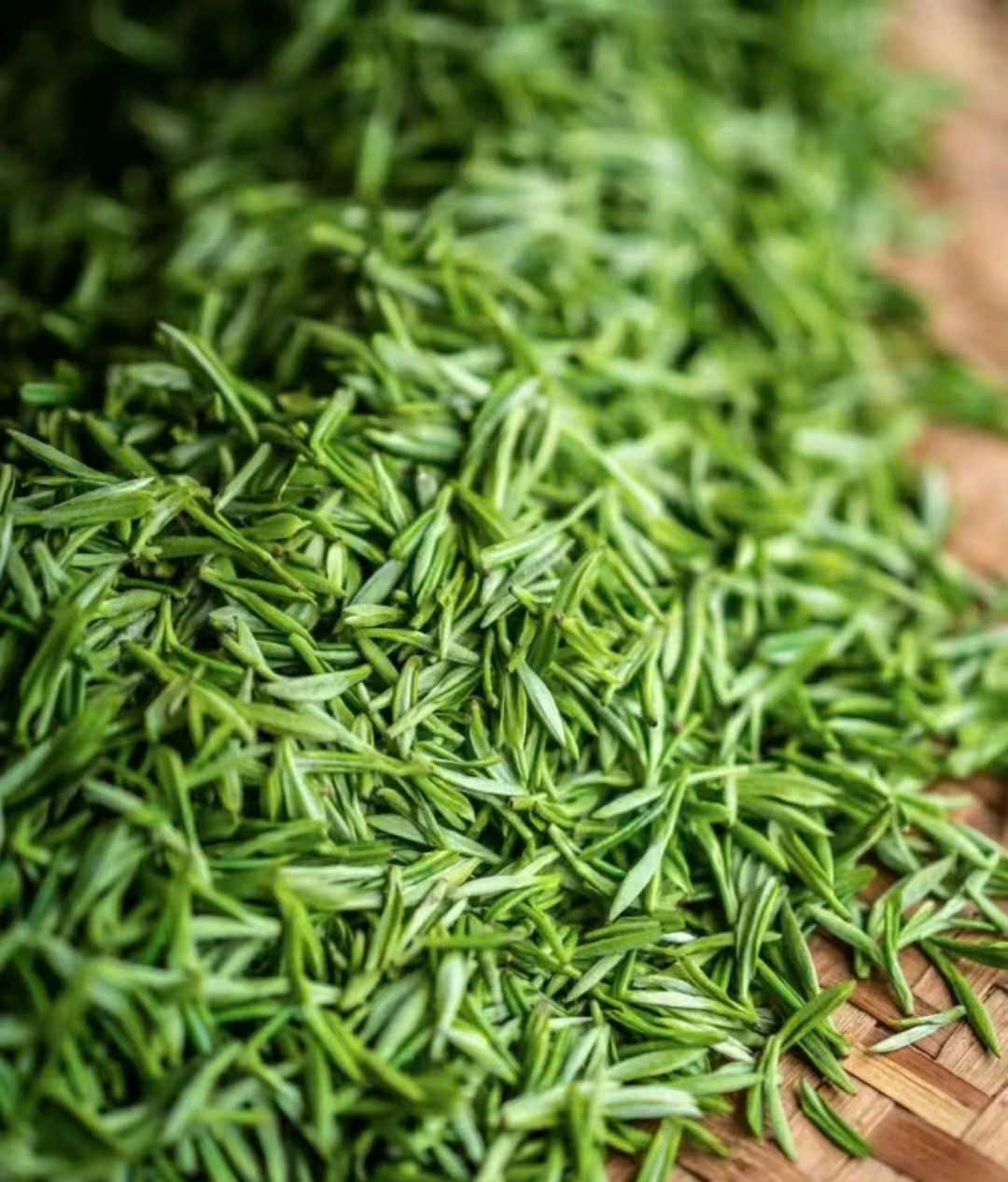 Nước trà trong hơi ngả vàng, mùi thơm ngát, vị thuần khiết ngọt dịu, không quá đắng - Ảnh: Sưu tầm