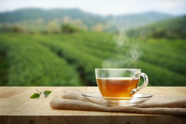 Trà đen Darjeeling - loại trà đắt nhất thế giới