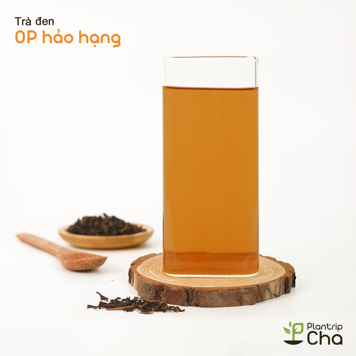 Sắc trà đen OP Hảo Hạng có màu nâu ánh cam sáng hấp dẫn.