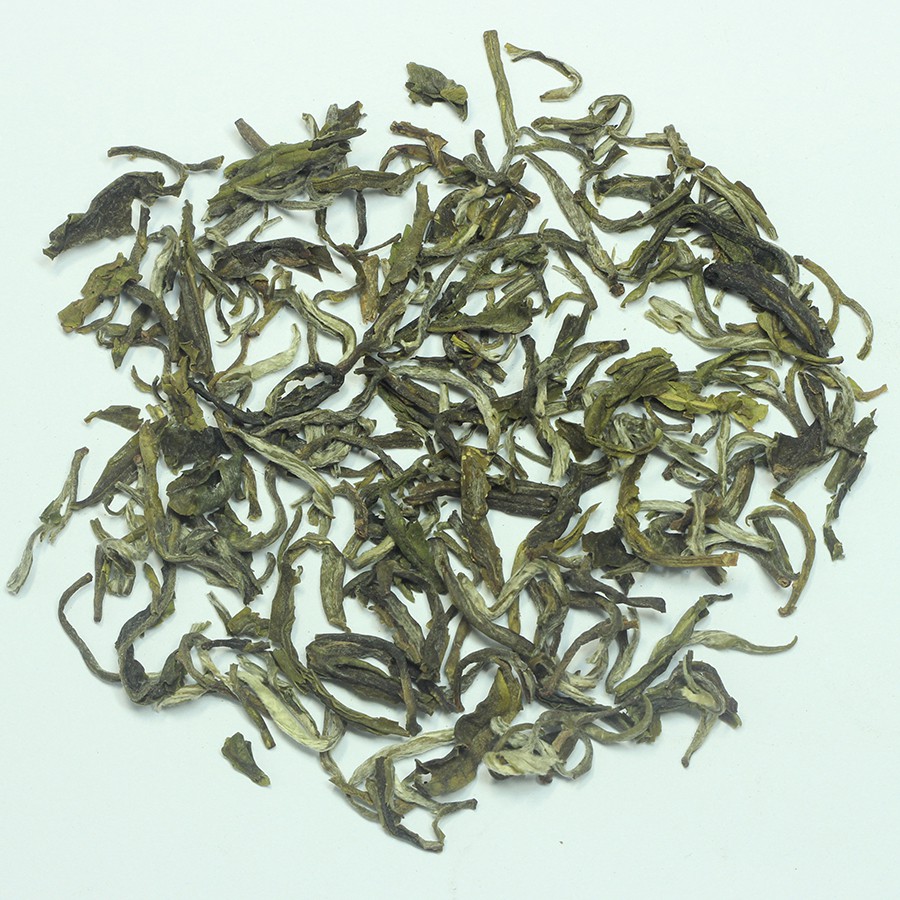 Trà Shan Tuyết cổ thự Tà Xùa