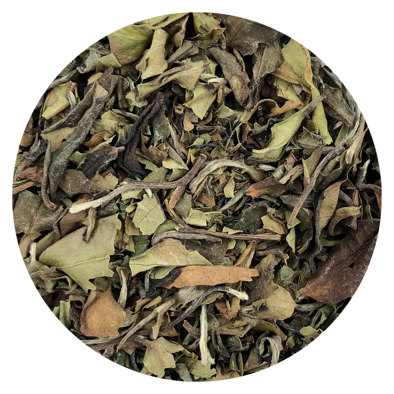 Trà Trắng Paimutan có nguồn gốc tại huyện Tam Đường, Lai Châu nước.