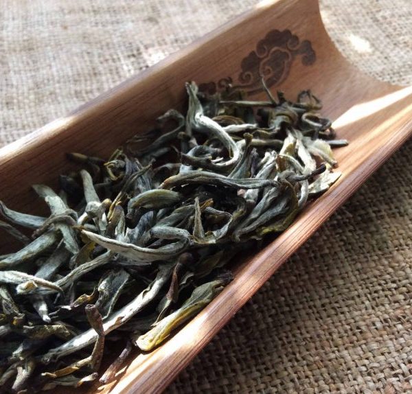 Trà Cổ Tà Xùa Sơn La - trà Việt cao cấp